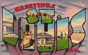 Beautiful Linen Large Letter, St Louis, Missouri, MO, Zoo,Tiger, ,Old Postcard