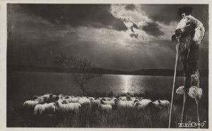 Shepherd On Stilts At Pays Landais France Antique RPC Postcard