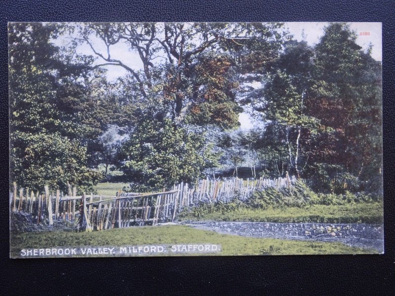 Staffordshire STAFFORD Milford SHERBROOK VALLEY c1909 Postcard by R.W. Dawson