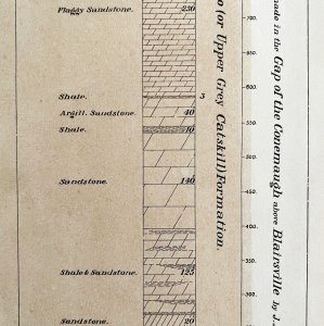 Limestone Shale Layers 1876 Geological Survey Pennsylvania Victorian DWAA3C