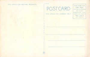 Watkins New York 1930-40s Postcard Entrance to Watkins Glen 