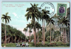 Cienfuegos Cuba Postcard Isle of Pines Casas Mountain Cienfuegos c1910