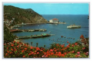 Birds Eye View Avalon Bay Santa Catalina Island CA UNP Chrome Postcard U24