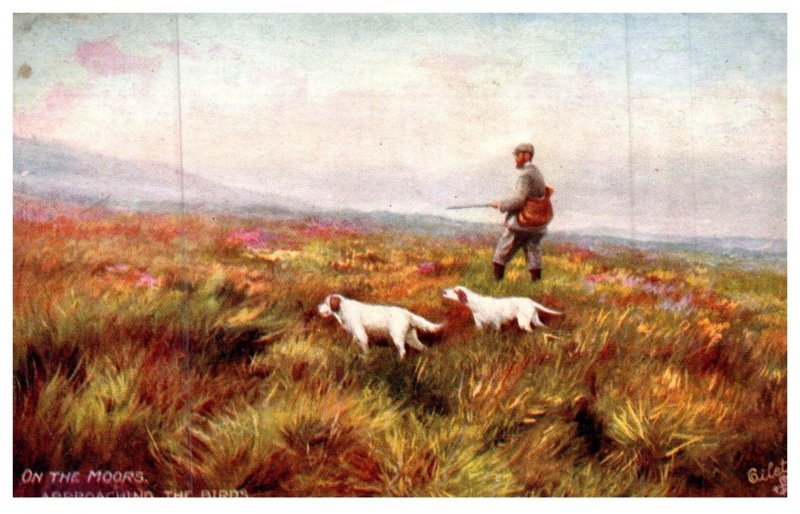 Dog , Hunting Dogs , On the Moors. Approaching the Birds