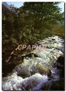 Postcard Modern Perigord Aux Bords De La Dronne