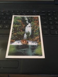 Vtg Postcard: Huntington Falls , Golden Gate Park , San Francisco CA