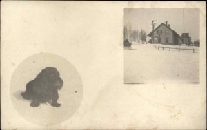 Danbury NH RR Train Station Depo & Poodle Dog c1910 Real Photo Postcard