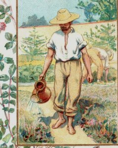 1870s-80s Chocolat Poulain Useful Plants La Pimprenelle F154