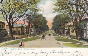 Hillhouse Avenue New Haven Connecticut 1905 Tucks