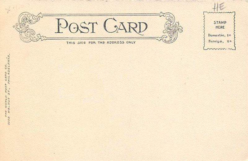 Rustic Bridge Valley Forge, Pennsylvania PA Postcard