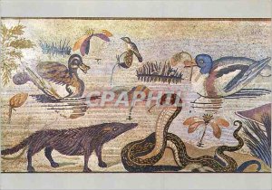 Postcard Modern Napoli Museo Nazionale Scena nilotica Snake Duck