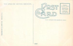 Michigan MI Postcard PORT HURON c1910 PINE GROVE PARK