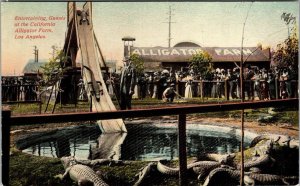 Postcard Los Angeles LA CA Entertaining Guests Alligator Farm Balloon Route JB7