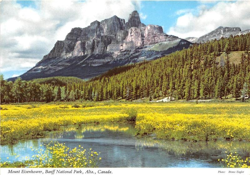 BG21193 mount eisenhower banff national park alta canada