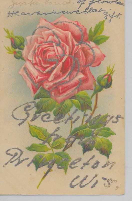 Princeton Wisconsin Greetings From flowers glittered antique pc Z13624