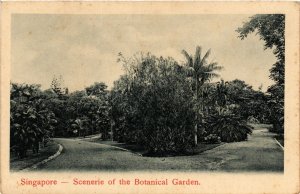 PC CPA SINGAPORE, SCENERIE OF THE BOTANICAL GARDEN, VINTAGE POSTCARD (b3491)