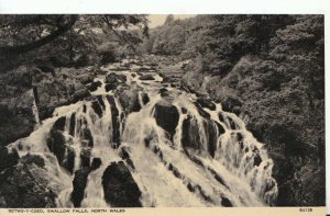 Wales Postcard - Betws-y-Coed - Swallow Falls - Caernarvonshire - Ref 19967A