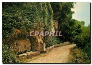 Postcard Modern Landscapes viper France Alpes de Haute Provence 385 m alt Lov...