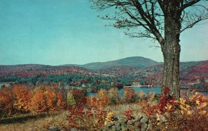 Postcard Greetings From Ware Massachusetts Colorful Grounds Autumn Reflections