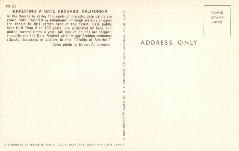 Postcard United States irigating a date orchard in California