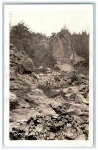 c1920's Rocky Landscape Forest View Dinsmores California CA RPPC Photo Postcard