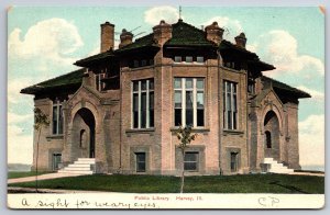 Harvey Old Public Library~1907 CP: A Sight For Sore Eyes PC Florence Conner