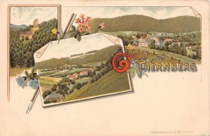 Austria Gruss aus Thernberg Flowers Multi-view vintage postcard B998