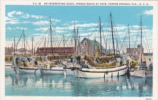 Florida Tarpon Springs An Interesting Sight Sponge Boats At Dock