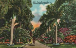 Vintage Postcard 1946 Palm Studded Drive Miami Beach Florida Colourpicture Pub.