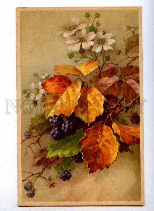 189587 Autumn Bouquet Berry by C. KLEIN Vintage colorful PC