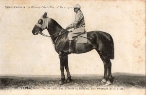 Inula La France Chevaline 1908 Race Horse Antique PB Postcard