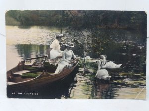 At The Lochside Two Edwardian Ladies in Boat Feeding Swans Vintage Postcard