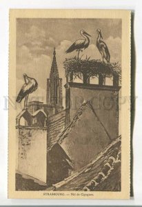 485491 FRANCE Strasburg storks nest Vintage Felix luib postcard