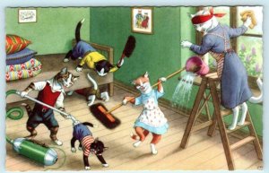 Mainzer Dressed Cats HOUSEWORK Vacuum Dusting  Kittens #4957 Belgium  Postcard
