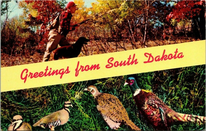 Greetings South Dakota SC Dual View Duck Hunting Hunter Dog VTG Postcard UNP 