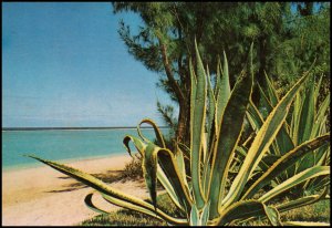 Mauritius post card - Albion Beach, unused