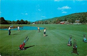 Keene New Hampshire 1950s Brentwood Golf course Postcard occupation 24-8509
