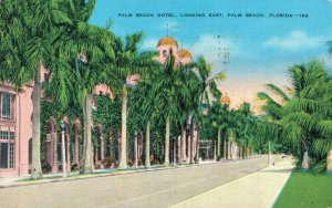 USA Palm Beach Hotel Looking East Palm Beach Florida Vintage Postcard 07.49