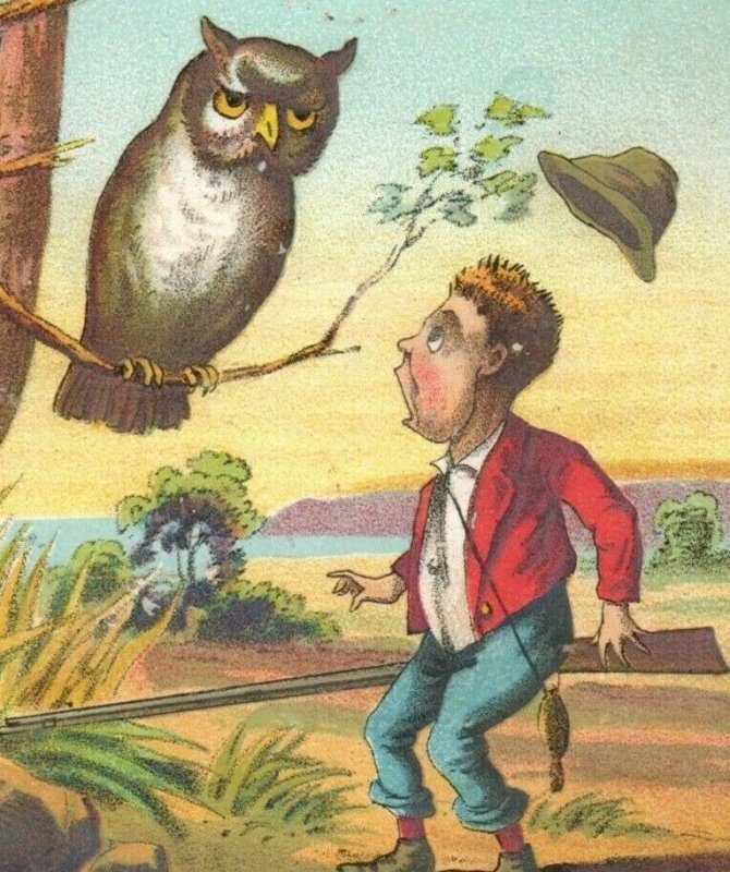 1880s Sellen & Co. Fancy Goods Bird Call Duck Hunter Shotgun Owl Family P230
