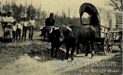 St. Louis to Jefferson City, MO Ezra Meeker, Oregon Trail Traveler by Ox Cart...