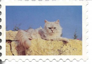 Cat resting on a wall Modern French photo postcard