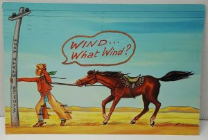 Weather Report Humor Wyoming Vintage Postcard