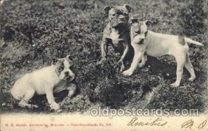 Dog Postal Used Unknown very light corner wear writing on front, postal used ...