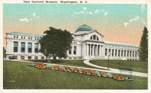 Vintage Postcard 1920's New National Museum Historic Landmark Washington DC