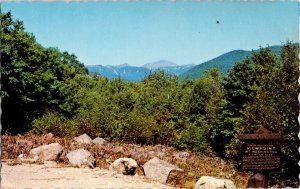 Mount Washington Crawford Notch New Hampshire NH Walt Reyelt Postcard Dexter Vtg 