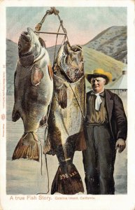 Postcard A True Fish Story Fisherman's Catch Catalina Island, California~130205