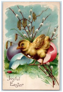 c1910's Easter Chick Hatched Eggs Pipe Berry Cattails Embossed Antique Postcard 