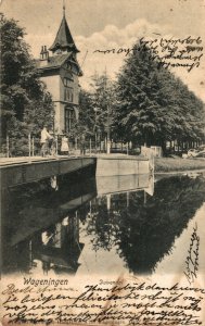 Netherlands Wageningen Duivendaal Vintage Postcard 08.50