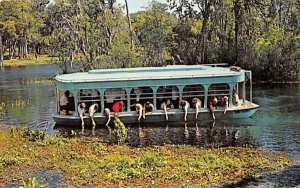 A new Glass-Bottom Boat, 14 beautiful Spring groups Silver Springs, Florida