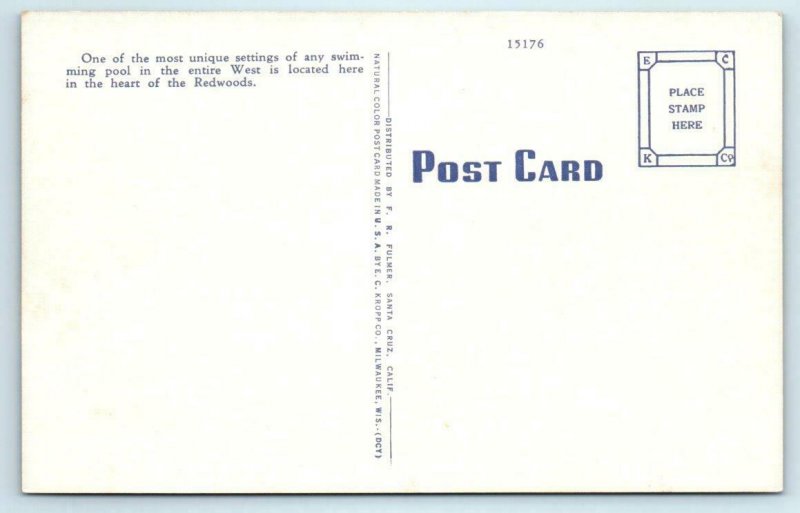 BIG BASIN, California CA ~ SWIMMING POOL  Santa Cruz County ca 1940s  Postcard